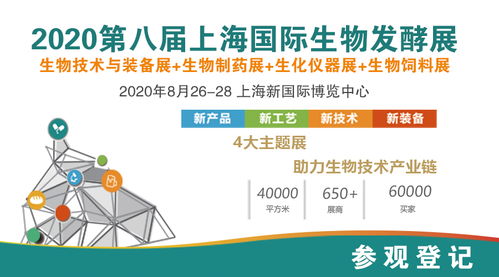 10套化工流程圖、布置圖及設(shè)備圖在互聯(lián)網(wǎng)接入及相關(guān)服務(wù)領(lǐng)域的應(yīng)用與價值